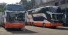 5 Berita Terpopuler: Dosa Paling Besar di PO Bus hingga Mahathir Ingin Malaysia Klaim Kepulauan Riau