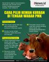 Infografis Cara Pilih Hewan Kurban di Tengah Wabah PMK