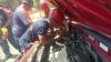 Buka Kap Mesin Mobil, Warga Parepare Kaget Ada Ular 5 Meter Melilit