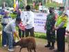 MNC Peduli dan Perindo Salurkan Hewan Kurban, Koramil Kebon Jeruk: Terima Kasih, Ini Kegiatan Positif