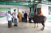  Danrem 172/PWY Serahkan Hewan Kurban di Masjid Ridho Allah  - Bagian 4