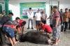  Danrem 172/PWY Serahkan Hewan Kurban di Masjid Ridho Allah  - Bagian 1