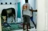 Heboh Sapi di Pekalongan Lepas dan Masuk Musala, Jemaah sedang Salat Berhamburan Lari