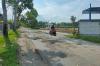 Jalan Tunjungan Rusak Parah, DPRD Kulonprogo Minta DPUPKP Perbaiki