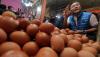 Harga Telur Ayam Naik di Pasaran, Mendag: Jangan Diributkan