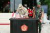 Panglima TNI Terima Kunjungan Kehormatan Kepala Staf Gabungan AS Jenderal Mark Milley  - Bagian 8