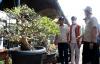 237 Pohon Kerdil Ikut Festival Bonsai dan Exhibition Bumi Wiralodra Indramayu 2022