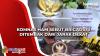 Komnas HAM Sebut Brigadir J Ditembak dari Jarak Dekat