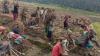 Fenomena Embun Beku Picu Kekeringan dan Kelaparan di Lanny Jaya Papua, 4 Orang Tewas