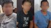 Ini Tampang 3 Komplotan Pencuri Sapi, Bikin Resah Peternak di 3 Daerah Sulawesi Utara