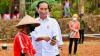 Momen Presiden Jokowi Perlihatkan Kelapa Genjah ke Petani