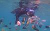 Fakta Taman Laut Bunaken di Sulawesi Utara, Surga bagi Para Penyelam