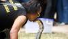 Aksi Pria Nekat Mencium Ular Berbisa Terbesar di Dunia, Begini Akhirnya - Bagian 1