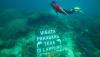 Foto Sandiaga Uno Snorkeling di Pulau Pahawang Lampung 