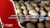 Harga Telur Turun Rp2.000 Menjadi Rp30.000 per Kilogram di Jakarta Utara