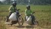 Seru! Tukang Ojek Adu Cepat Ngebut Bawa Gabah di Tengah Sawah - Bagian 2