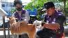 Kasus Rabies di Gorontalo Capai 429 Kasus dalam 7 Bulan