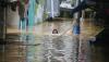 Alumni ITB Minta Banjir Jakarta Tak Dipolitisasi, Perlu Infiltrasi dan Daya Tampung 
