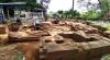 Candi Peninggalan Kerajaan Medang Diduga Berusia 1.000 Tahun Ditemukan di Jombang, Begini Bentuknya
