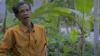 Kisah Inspiratif Mbah Lasiyo, Petani Berjulukan Profesor Pisang yang Mendunia dari Bantul