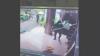 Rumah Mantan Anggota DPD RI di Makassar Dirusak OTK, Aksi Pelaku Terekam CCTV