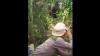 Viral Aksi Jenaka Pria Bergaya Silat Cegah Gajah Liar Masuk Permukiman Warga