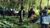 Minibus Terperosok ke Kebun Karet di Agrabinta Cianjur, 4 Orang Luka-Luka