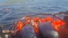 Kisah Haru Ibu Anak Korban Kapal Terbakar, Pegangan Tangan di Laut 4 Jam agar Tak Terpisah
