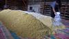 BUMN Pangan Akan Jual 56.000 Ton Kedelai Impor, Harganya Rp11.000 per Kg