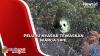 Warga Sipil jadi Korban Peluru Nyasar Anggota Polantas di Pontianak