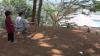 Diduga Kelaparan, Kawanan Monyet Liar Turun Gunung ke Waduk Saguling KBB
