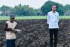 Jokowi Akan Siapkan 700.000 Ha Lahan Tebu demi Capai Target Swasembada Gula