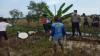 Warga Juntinyuat Indramayu Geger Temukan Mayat Pria Membusuk di Sawah