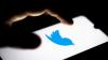 Elon Musk Sebut Twitter Bisa Bangkrut, Ini Penyebabnya