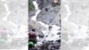 Viral Aksi Arogan 3 Pemotor Trail Terobos Kawasan Konservasi Kawah Ijen
