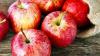 13 Buah yang Mengandung Vitamin B