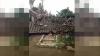 Gempa M 5,6 Guncang Cianjur, Warga: Allahu Akbar Gempa