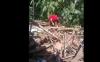Gempa Magnitudo 5,6 Cianjur, Rumah Warga di Caringin Sukabumi Ambruk