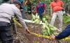 OKU Selatan Geger, Pelajar SMP Tewas Dimutilasi di Kebun Kopi 