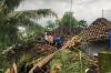 Diterjang Angin Puting Beliung, Puluhan Rumah di Selopamioro Bantul Rusak Tertimpa Pohon