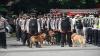 11 Anjing Pelacak Dikerahkan dalam Pengamanan Pernikahan Kaesang-Erina di Solo