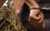 Napi Lapas Bangli Disebut Kendalikan Peredaran Ganja di Jember, Ini Kata Kalapas