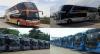 5 PO Bus Terbesar di Indonesia Punya Banyak Anak Perusahaan, Miliki Ribuan Armada, SPBU hingga Hotel