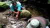 Unik, Mata Air di Sungai Cingenge Rajagaluh Majalengka Ini Hangat dan Sedikit Manis