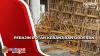 Perajin Rotan di Medan Siapkan Stok untuk Natal dan Tahun Baru