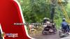 Pohon Jati Tumbang Diterjang Angin Kencang di Pemalang, Aliran Listrik Padam