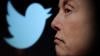 Elon Musk Tantang Mark Zuckerberg Duel ala UFC gegara Meta Bikin Pesaing Twitter