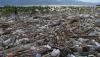 Pantai Palu Tercemar Lautan Sampah, Ancam Tanaman Mangrove - Bagian 2