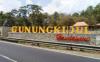 Gunungkidul Tertarik Kembangkan Wisata Udara dengan Pesawat Kecil
