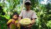 Panen Durian Cikakak Khas Sukabumi - Bagian 1